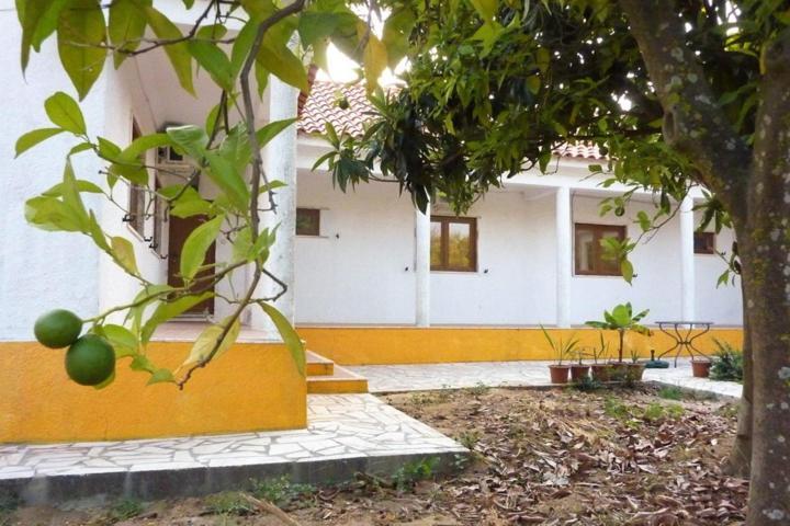 Quinta Laranjal Da Arrabida Bed & Breakfast Palmela Luaran gambar