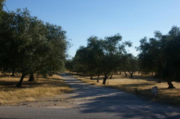 Quinta Laranjal Da Arrabida Bed & Breakfast Palmela Luaran gambar