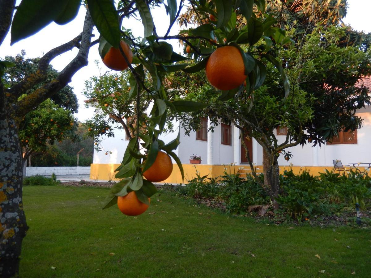 Quinta Laranjal Da Arrabida Bed & Breakfast Palmela Luaran gambar
