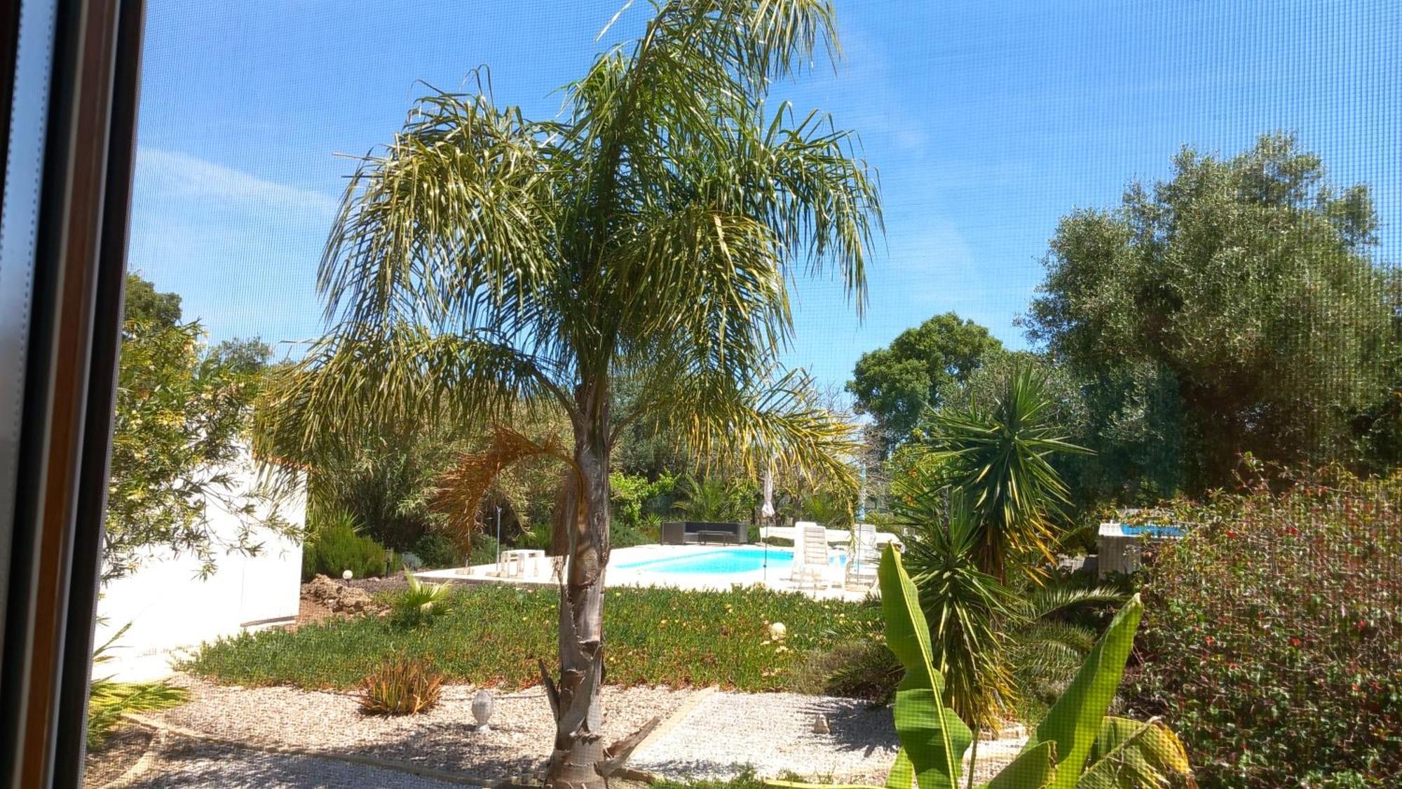 Quinta Laranjal Da Arrabida Bed & Breakfast Palmela Luaran gambar